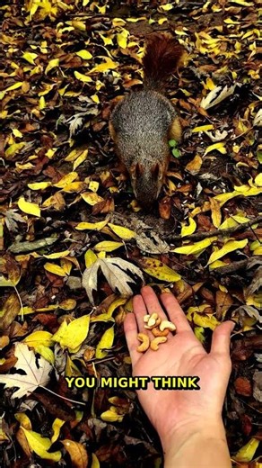 10 Shocking Vampire Bat Secrets | Wildlife Facts 2025