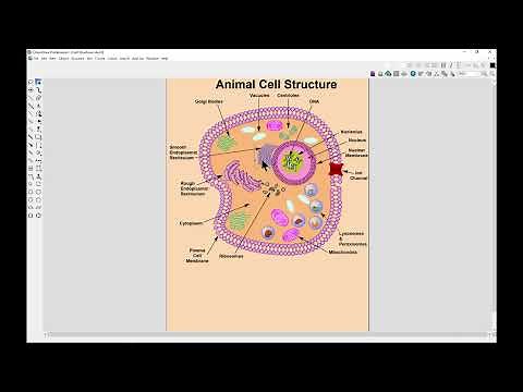 Document and Page setup - ChemDraw