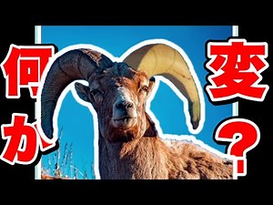 よく見ると変な画像が爆笑の連続なんだが。Part2【よく見ると変な画像】
