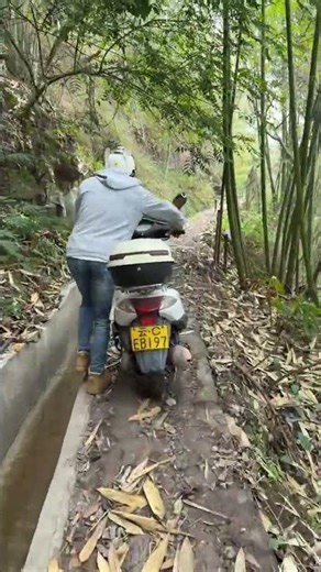 Unveiling the Mystery: What's This Operation All About