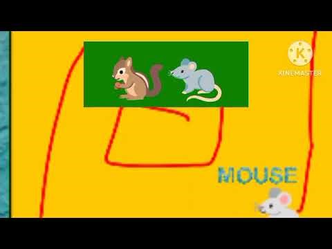 Alphabet house Letter M is for mouse