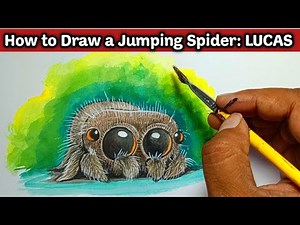 jumping spider LUCAS Watercolour painting | how to draw a jumping spider 🕷LUCAS #supportmyart#lucas