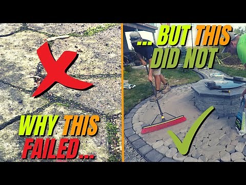 Why Polymeric Sand Fails | 5 Reasons and How to Prevent Them