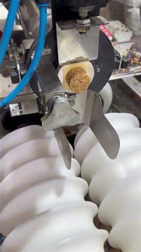 Laddu making machine | punjab engineering Indore 9098587992