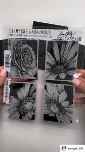 13K views · 240 reactions | This is amazing !!☀️ Have you experienced...