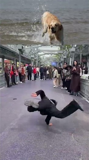 Dancing Hippo Goes Crazy Video 2026 #viral #dancechallenge