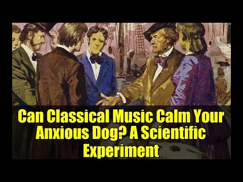Can Classical Music Calm Your Anxious Dog? A Scientific Experiment