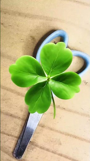 🧟 HELLO KITTY Turned Into A Zombie🧟