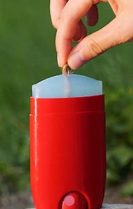 54K views · 69 reactions | 5-Minute Workouts on Reels | Facebook