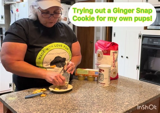 Dog-Friendly Ginger Snap Cookie Recipe for Pups