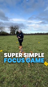 3.7K views · 1.2K reactions | Engagement is the foundation for lead walking, recall, reactivity and so much more! This makes it a really important skill to build with teenage dogs! I recommend spreading the cones out further than I did to give you more time — there’s only so much you can catch on camera  #dogtrainingtips #teenagedogproblems #easydogtraining #focusgame #gundogtrainingtips | Paw Forward Dog Training | Facebook