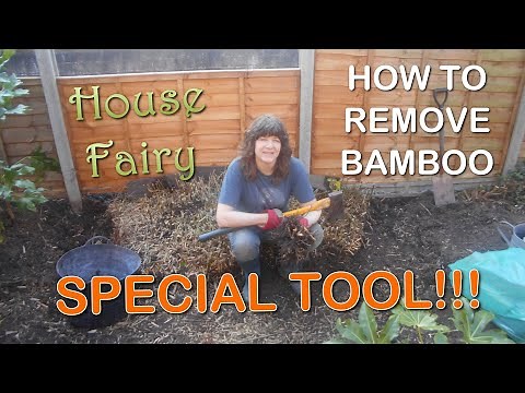 How To Get Rid Of Bamboo From Your Garden - Special Handmade Tool
