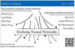 Evolving Neural Networks Workshop – Lifeboat News: The Blog