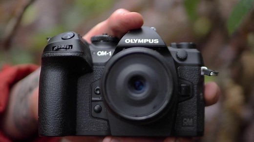 113 reactions · 18 comments | Whether you shoot wildlife, long exposures or Macro, the OM-1 will make your shooting experience easier | OM System | Facebook