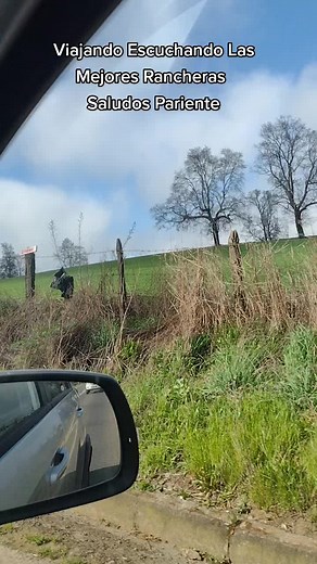 mari_ximenita2021 on TikTok