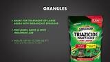 Spectracide 10 lbs. Triazicide Lawn Insect Killer Granules (6-Pack) HG-63941-6