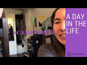 Texas Christian University College Dorm Room Tour
