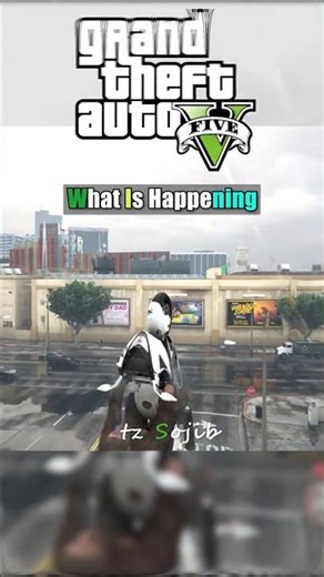 WT** ?💀 #gta5