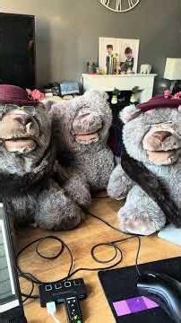 What happens when you wire up 5 80s bears to a computer ?