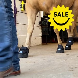 Offer horses comfort and support from laminitis, thin soles, trailering and more – enjoy 10% off Easyboot Cloud hoof boots! | Valley Vet Supply