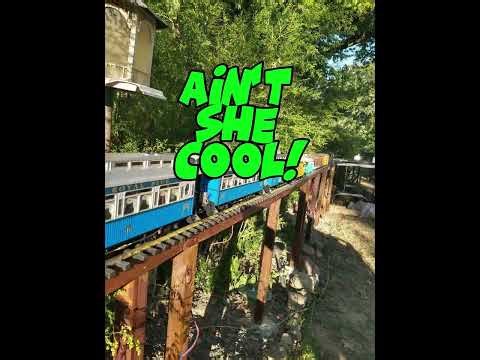 Garden Railroad B&O style. My first layout.