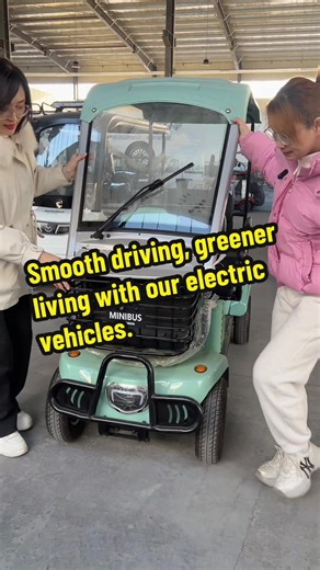 Smooth Driving with Affordable Electric Vehicles for Seniors