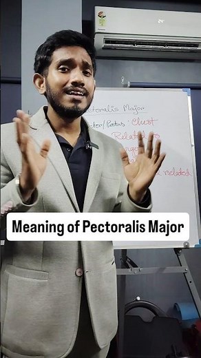Why is it Called Pectoralis Major?