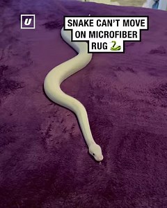 20M views · 145K reactions | Some fabrics are too difficult to tread   | UNILAD | Facebook