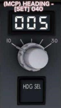 【Aerofly】B737-800のバッテリーオンからエンジン始動までのスタートアップをテンポよく┃JAL┃B737-800 #shorts