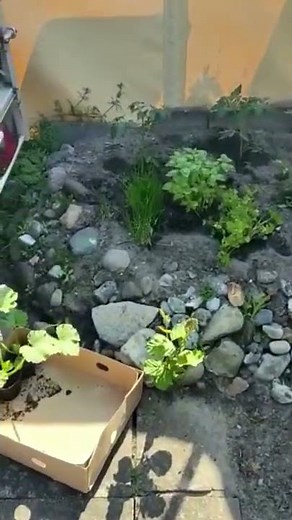 Permanent Camping Grömitz Germany