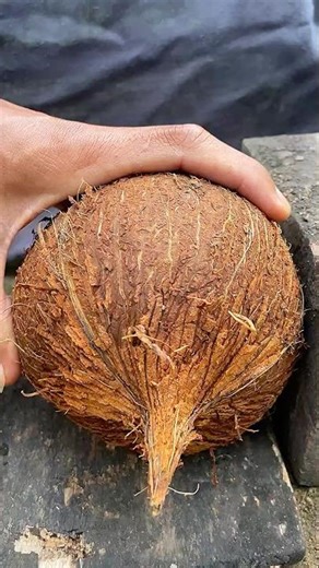 smart way to remove coconut from its shell