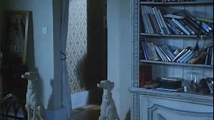 Doble visión (Robert Knight, 1992)