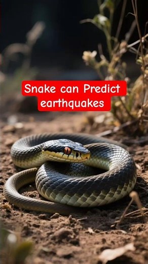 Why Snakes Can Predict Earthquakes?