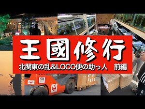 王国修行 前編 「北関東の乱」&「LOCO便」「LOCO祭」の様子や裏側をご紹介😆
