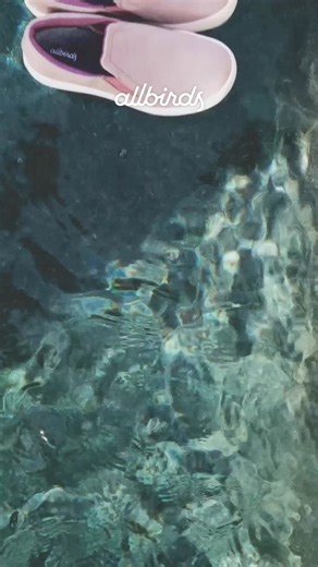 Slip-on season has arrived. Go lightweight and lace-free, wherever summer takes you. | Allbirds | Facebook