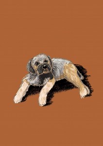 Digital Pet Illustration - Etsy UK