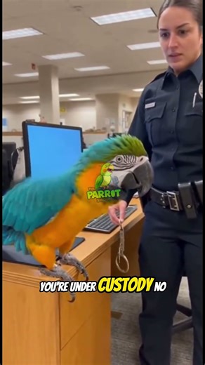 Parrot Outsmarts Police Officers 😂 #funnyshorts #talkingparrot #police