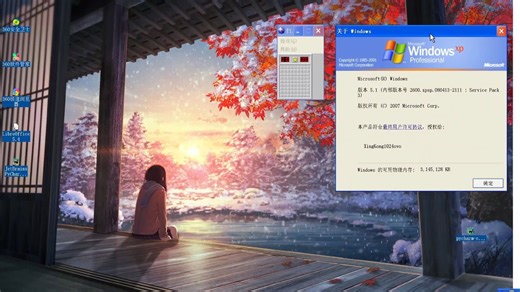 不是...这对吗？在Windows XP上实现动态壁纸