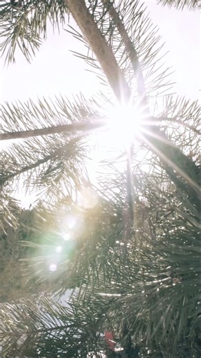 Winter is coming, see you!😍 #campingseiseralm #dolomites #wintercamping #glamping #chalets #saunalife #snowsnowsnow | Camping Seiser Alm / Alpe di Siusi