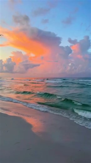 245K views · 5.5K reactions | T ✨ G ✨ I ✨ F ✨  Destin, Florida ️ @davidnola | Coastal Living | Facebook