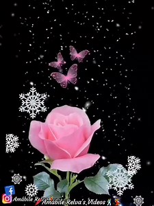 58K views · 6.4K reactions | ┏━━┓　('\,•´¨`•,/')　┃ 栗‍♂️┣┓...