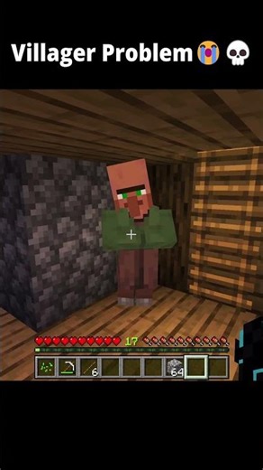 POV: Every Villager Problem Has One Solution 😭