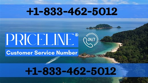 Priceline ™ Customer Service Official Guide || Step-by-Step Help & Support Priceline