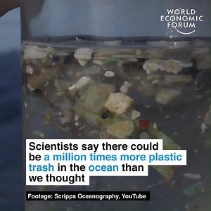 315K views · 3.5K reactions | And it could end up on our dinner plates too.  Read more: https://wef.ch/34hfncG | World Economic Forum | Facebook