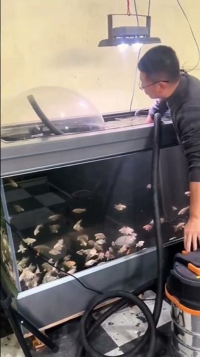 Magical negative pressure fish tank