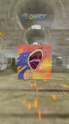 Sonek glitching the Sonic game #sonic #sonicthehedgehog