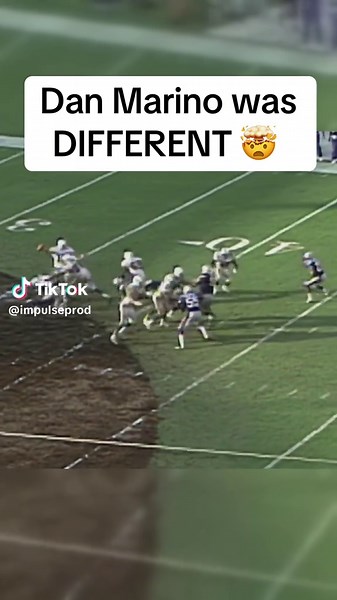 Dan Marino's Incredible Touchdown Highlights