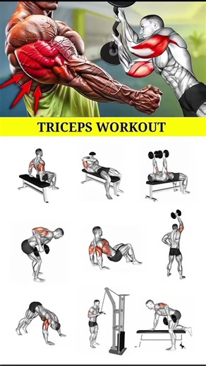 Insane Triceps Workout 🔥 | Big Arms Banane Ka Best Gym Routine | Baagifitness #gym #shorts #short