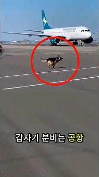 He detected the danger that the sensors missed ❤️