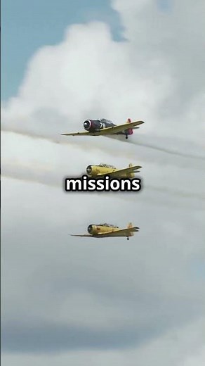 The Tuskegee Airmen: Heroes of World War II and Civil Rights